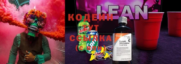 прущие грибы Армянск