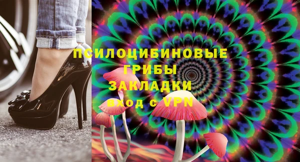 прущие грибы Армянск