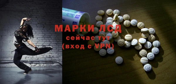 прущие грибы Армянск
