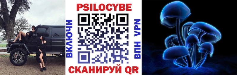 Галлюциногенные грибы Cubensis Волгоград