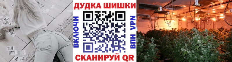 дарнет шоп  Волгоград  Шишки марихуана LSD WEED 